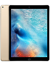 iPad Pro 12.9 (1st Generation)